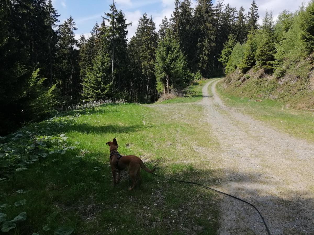 Modernisierte Ferienwohnung Im Schoenen Sauerland ميشيده المظهر الخارجي الصورة